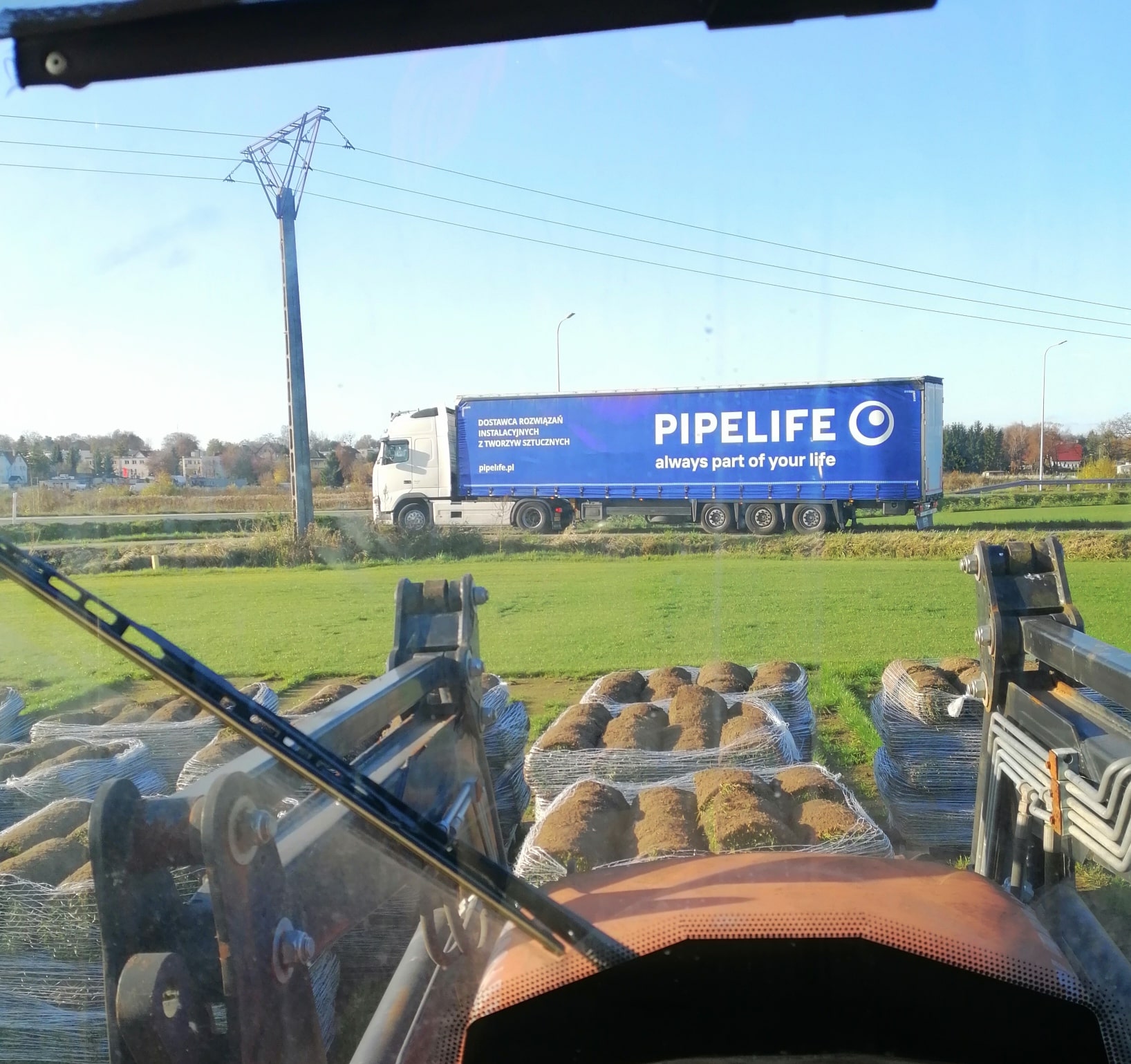 Trawa z rolki plantacja